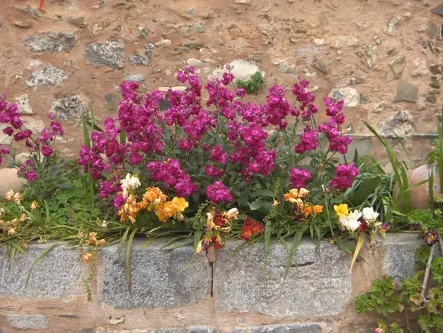 Holy Monastery of Kremasta, photo 13