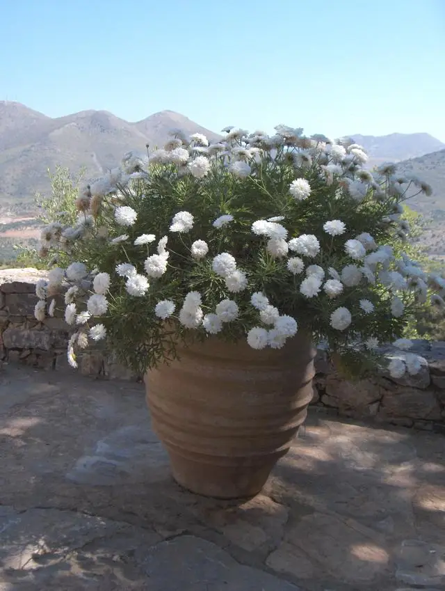 Holy Monastery of Kremasta, photo 21