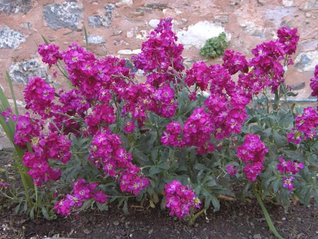 Holy Monastery of Kremasta, photo 31