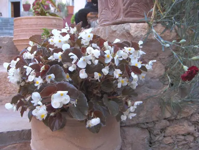 Holy Monastery of Kremasta, photo 34